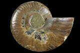 Agatized Ammonite Fossil (Half) - Crystal Chambers #111486-1